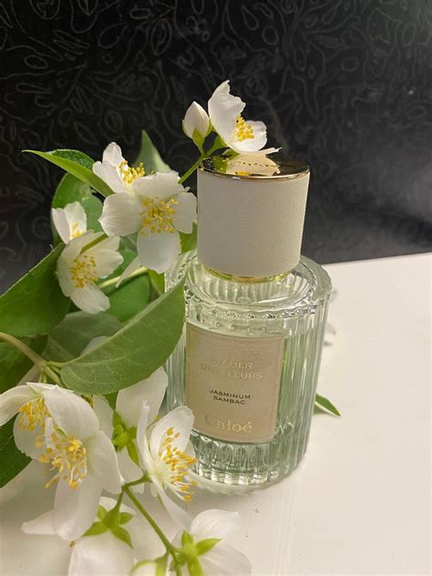 jasminum sambac perfume